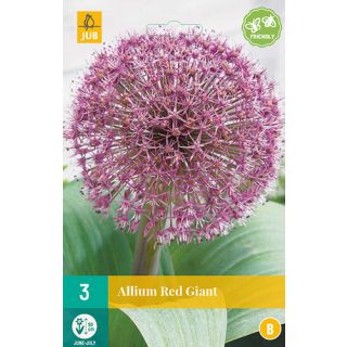 Compra ALLIUM RED GIANT en la tienda online Fito Agrícola