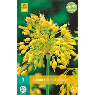 Compra ALLIUM YELLOW FANTASY en la tienda online Fito Agrícola