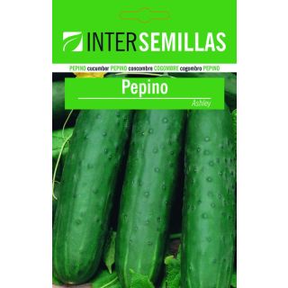 Compra PEPINO ASHLEY (500 gr.). en la tienda online Fito Agrícola