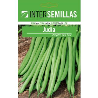 Compra JUDÍA STRINGLESS BLUE LAKE S7 (1 Kgr.) en la tienda online Fito Agrícola