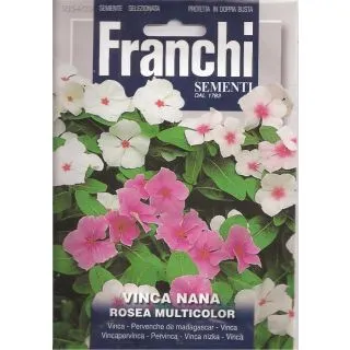 Compra VINCA ENANA VARIADA (10 gr.). en la tienda online Fito Agrícola