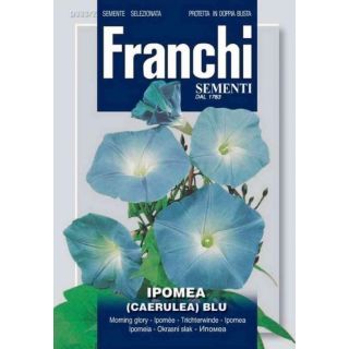 Compra IPOMEA CAMPANILLA AZUL (100 gr.). en la tienda online Fito Agrícola