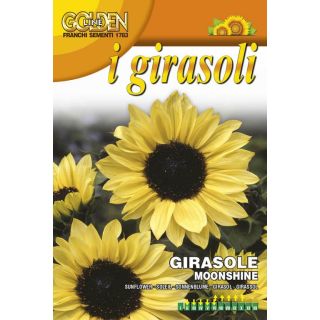 Compra GIRASOL MOONSHINE (50 gr.). en la tienda online Fito Agrícola