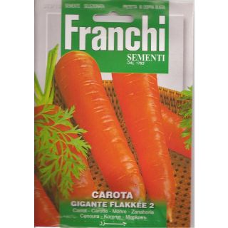 Compra ZANAHORIA GIGANTE FLAKKEE (100 gr.). en la tienda online Fito Agrícola