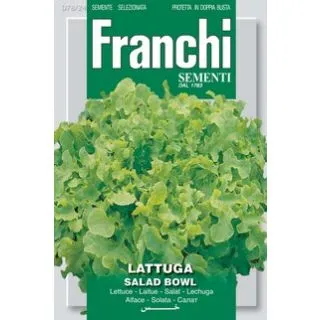 Compra LECHUGA SALAD BOLW (100 gr.). en la tienda online Fito Agrícola
