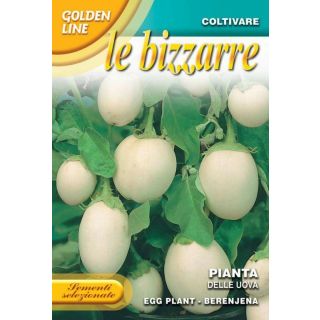 Compra BERENJENA BLANCA PIANTA DELLE UOVA (1 gr.). en la tienda online Fito Agrícola