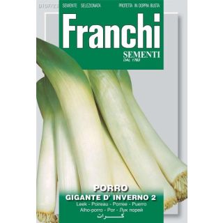 Compra PUERRO GIGANTE DE INVIERNO 2 (6 gr.). en la tienda online Fito Agrícola