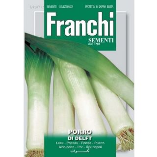 Compra PUERRO DI DELFT (500 gr.). en la tienda online Fito Agrícola