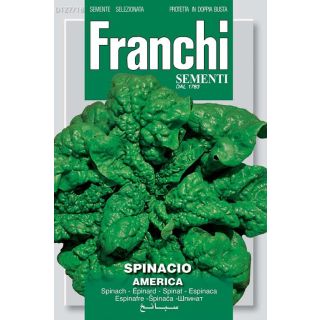 Compra ESPINACA AMERICA (100 gr.). en la tienda online Fito Agrícola
