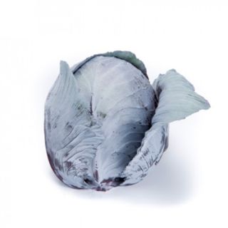 Compra COL LOMBARDA REDMA RZ Precisión (2.500 Semillas). en la tienda online Fito Agrícola