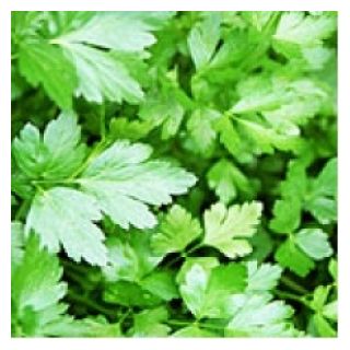 Compra PEREJIL OSCAR Sin Tratar (100.000 Semillas) en la tienda online Fito Agrícola