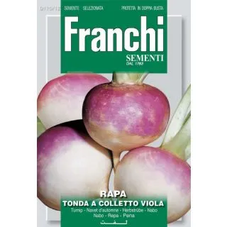 Compra NABO GLOBO BLANCO DE CUELLO VIOLETA (100 gr.). en la tienda online Fito Agrícola