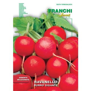Compra RABANITO BURRO GIGANTE (12 gr.). en la tienda online Fito Agrícola