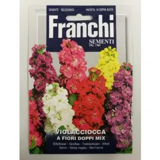 Compra VIOLACCIOCCA DOBLE GIGANTE MULTICOLOR (0,6 gr.). en la tienda online Fito Agrícola