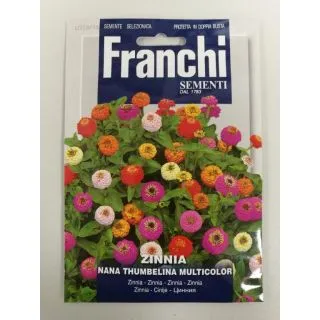 Compra ZINNIA NANA THUMBELINA MULTICOLOR (2 gr.). en la tienda online Fito Agrícola