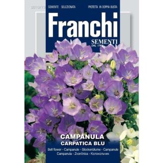 Compra CAMPANULA CARPATICA AZUL (1 gr.). en la tienda online Fito Agrícola
