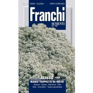 Compra ALISO ENANO ALFOMBRA DE NIEVE (1 gr.). en la tienda online Fito Agrícola
