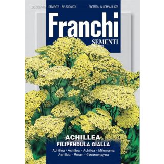 Compra ACHILLEA FILIPENDULA (0,5 gr.). en la tienda online Fito Agrícola