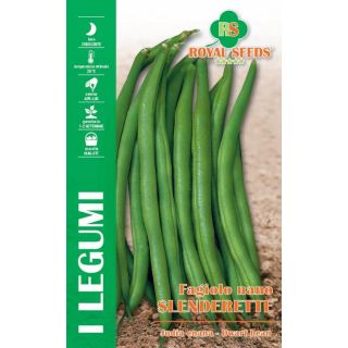 Compra JUDÍA SLENDERETTE (5 Kgr.). en la tienda online Fito Agrícola