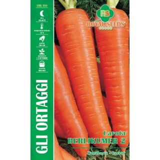 Compra ZANAHORIA BERLIKUMER (9 gr.). en la tienda online Fito Agrícola