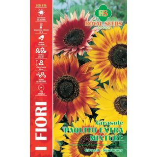 Compra GIRASOL MINIATURA PAQUITO MIX (1 gr.). en la tienda online Fito Agrícola