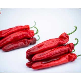 Compra PIMIENTO YUKO F1 (1000 Semillas) en la tienda online Fito Agrícola