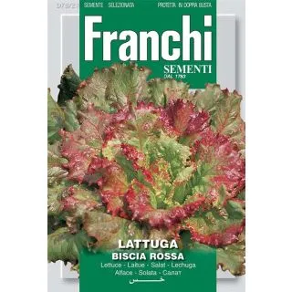 Compra LECHUGA BISCIA ROJA (100 gr.). en la tienda online Fito Agrícola