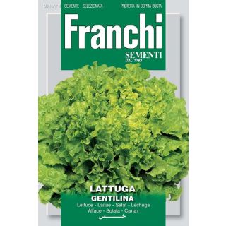 Compra LECHUGA GENTINILA (8 gr.). en la tienda online Fito Agrícola