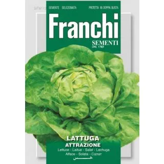 Compra LECHUGA ATTRACTIE (100 gr.). en la tienda online Fito Agrícola