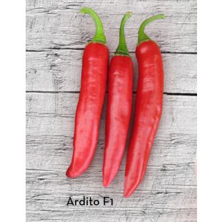 Compra PIMIENTO ARDITO F1 (1000 Semillas). en la tienda online Fito Agrícola
