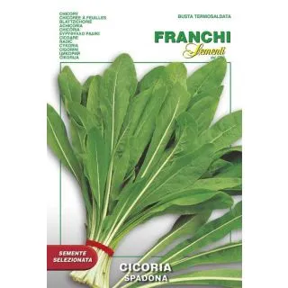 Compra ACHICORIA RADICHETA SPADONA (100 gr.). en la tienda online Fito Agrícola