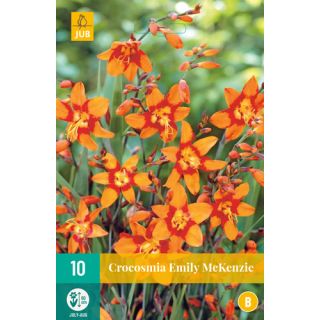 Compra CROCOSMIA EMILY MCKENZIE en la tienda online Fito Agrícola