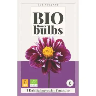Compra DALIA IMPRESSION FANTASTICO BIO en la tienda online Fito Agrícola