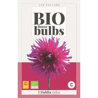 Compra DALIA ORFEO BIO en la tienda online Fito Agrícola