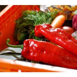 Compra PIMIENTO SWEET PALERMO ROJO M11 en la tienda online Fito Agrícola