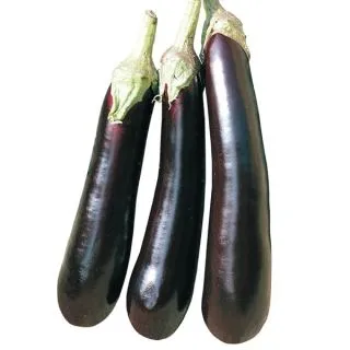 Compra BERENJENA ABRIVADO F1 (25 gr.). en la tienda online Fito Agrícola