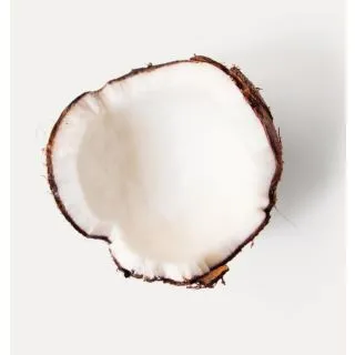 Compra GUISANTE DOUCE PROVENCE (1 Kgr.) en la tienda online Fito Agrícola