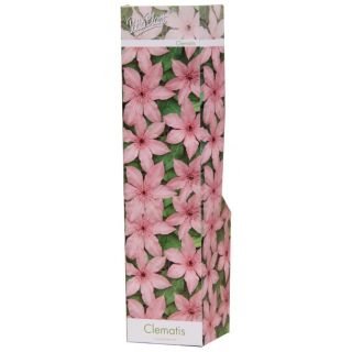 Compra CLEMATIS ROSA HAGLEY (1 Unid.) en la tienda online Fito Agrícola