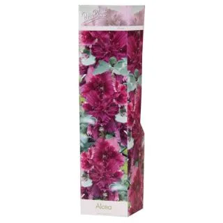 Compra ALCEA ROSEA PURPLE (1 Unid.). en la tienda online Fito Agrícola