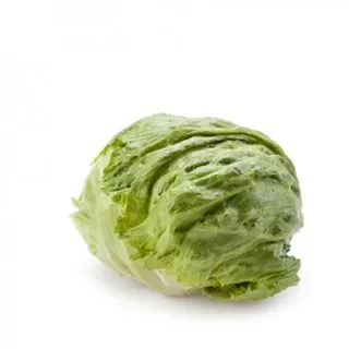 Compra LECHUGA CORIANAS RZ Pildorada (5.000 Semillas). en la tienda online Fito Agrícola