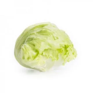 Compra LECHUGA FEDDENAS RZ Pildorada (5.000 Semillas). en la tienda online Fito Agrícola