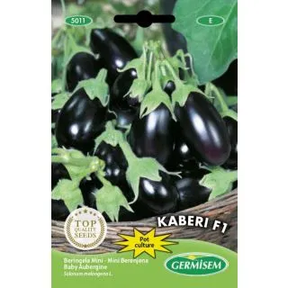 Compra BERENJENA KABERI F1 (10 Semillas) en la tienda online Fito Agrícola