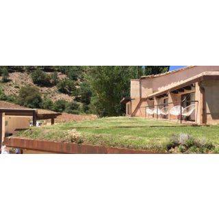 Compra TEJADOS VERDES AJARDINADOS (1 Kgr.). en la tienda online Fito Agrícola