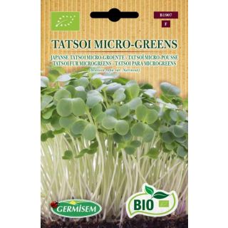 Compra TATSOI MICROGREENS BIO (10 gr.). en la tienda online Fito Agrícola