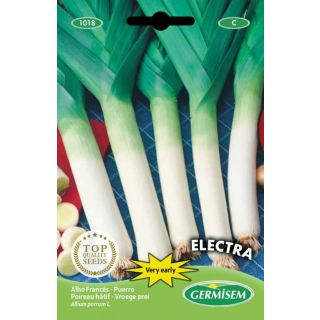 Compra PUERRO ELECTRA (10 gr.) en la tienda online Fito Agrícola