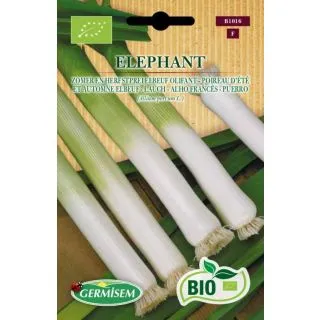 Compra PUERRO ELÉPHANT BIO (2 gr.). en la tienda online Fito Agrícola