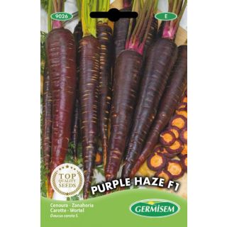 Compra ZANAHORIA PURPLE HAZE F1 (300 Semillas). en la tienda online Fito Agrícola