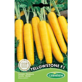 Compra ZANAHORIA YELLOWSTONE F1 (300 Semillas). en la tienda online Fito Agrícola