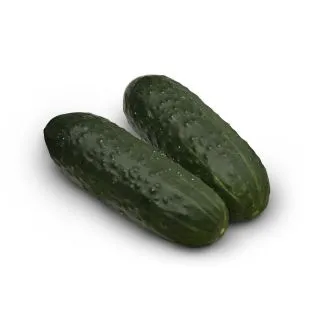 Compra PEPINO ALJIBE F1 (1000 Semillas) en la tienda online Fito Agrícola