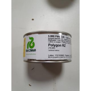 Compra LECHUGA POLYGON RZ Pildorada (5.000 Semillas). en la tienda online Fito Agrícola